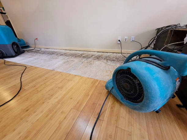 Professional Water Damage Repair technician working in Dewey, AZ